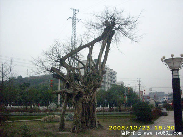 DSCI0074.jpg