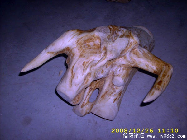 DSCI0016.jpg