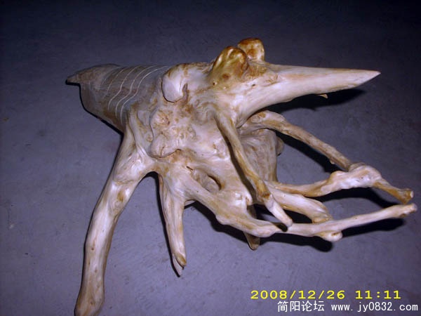 DSCI0017.jpg