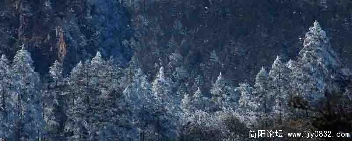 西岭雪山-2四川简阳中学曾祥.jpg