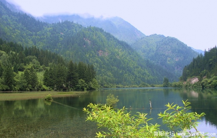 松潘 九寨 黄龙 (3).jpg