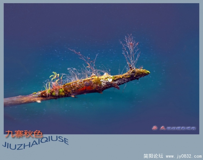 九寨雨中秋更艳——07副本.jpg