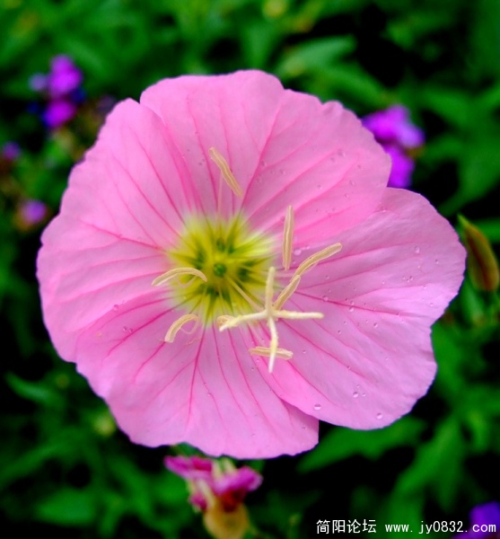 DSCF2763.jpg