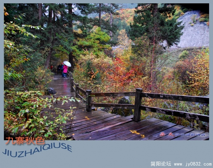 九寨雨中秋更艳——04副本.jpg