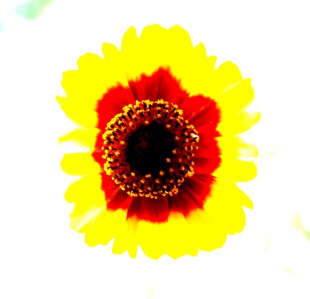 DSCF2711.jpg
