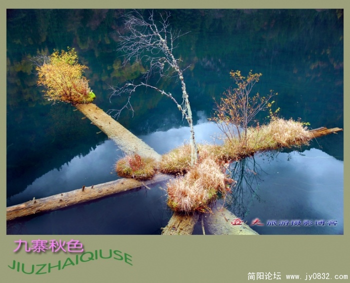 九寨秋色之二——05副本.jpg