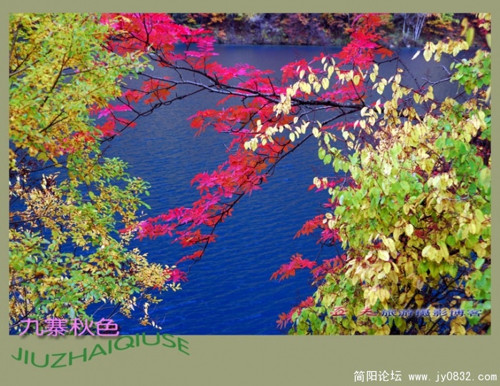 九寨秋色之二——03副本.jpg