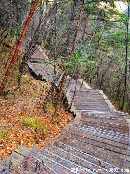 SDC10120.jpg