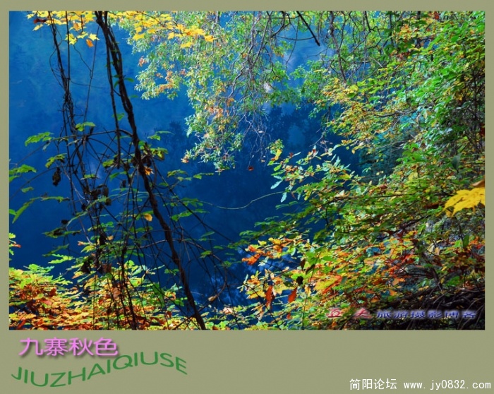 九寨秋色之二——06副本.jpg