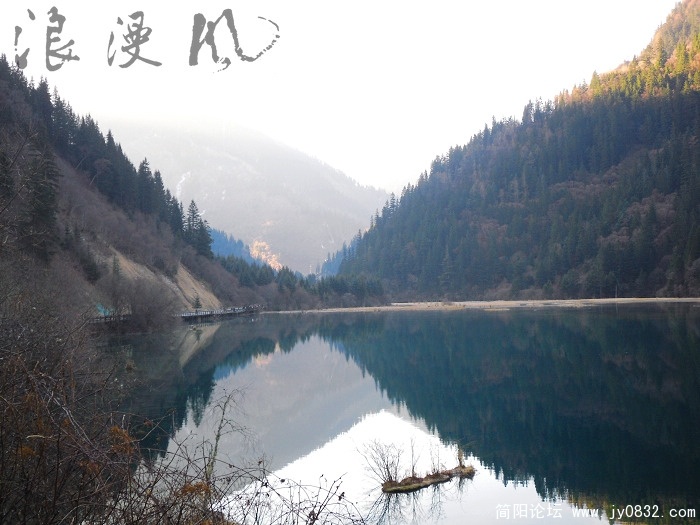 SDC10041.jpg