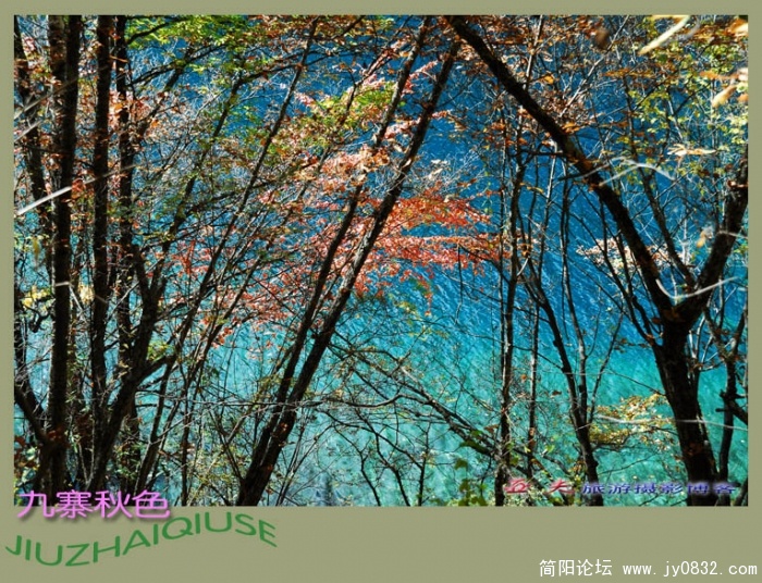 九寨秋色之二——16副本.jpg