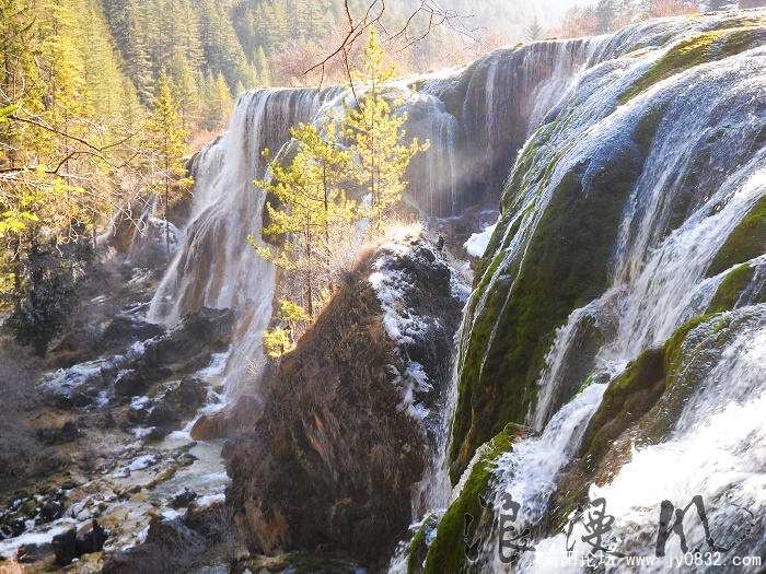 SDC10196.jpg