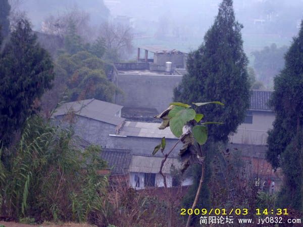 克芹的故居就在那个池塘边上