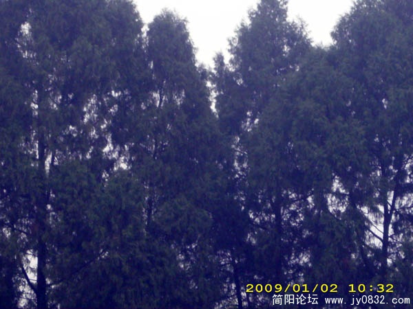 DSCI0057.jpg
