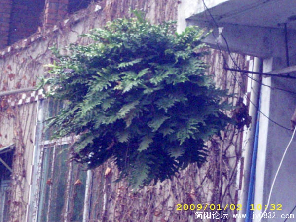 DSCI0056.jpg