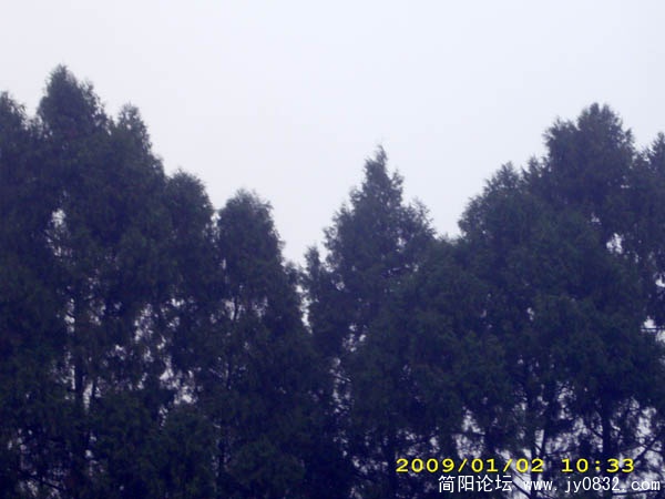 DSCI0058.jpg