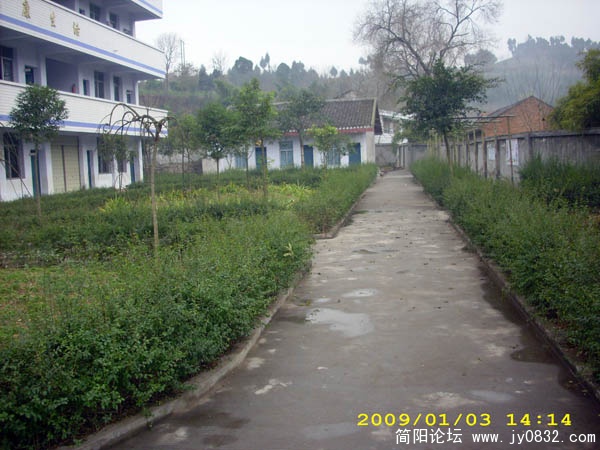 DSCI0075.jpg