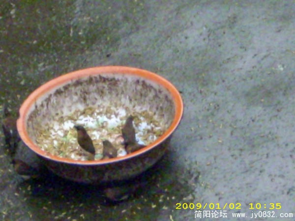 DSCI0065.jpg