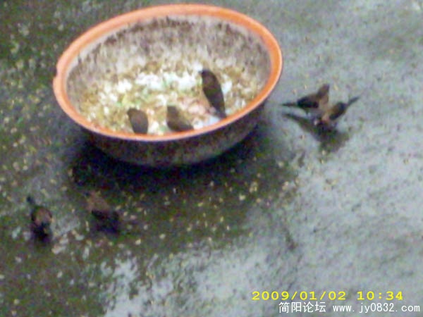 DSCI0061.jpg