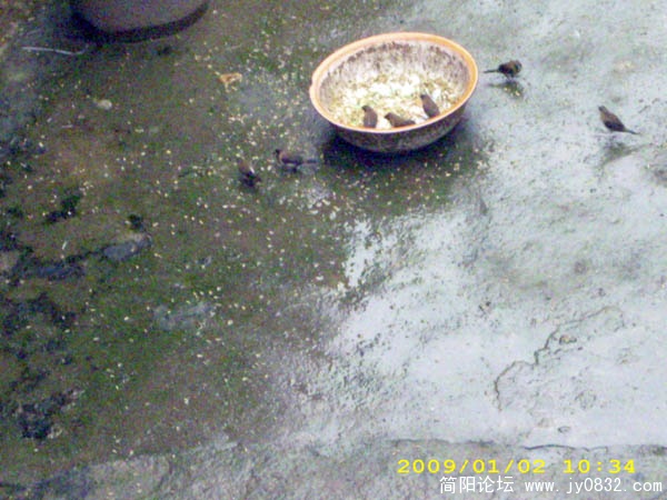 DSCI0060.jpg