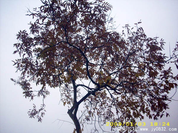 DSCI0106.jpg