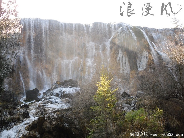 SDC10227.jpg