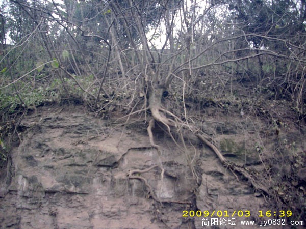 DSCI0089.jpg