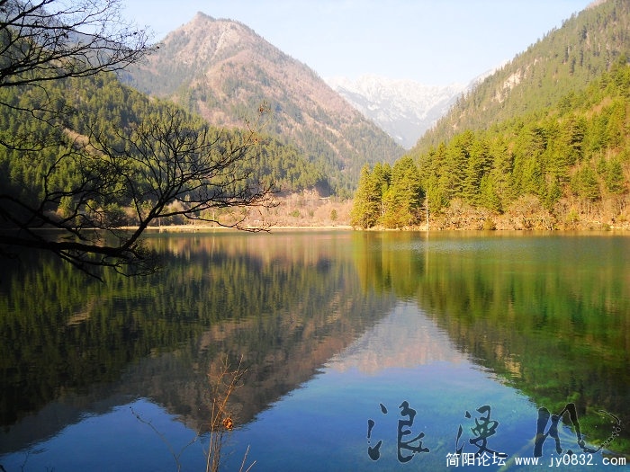 SDC10272.jpg