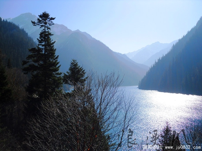 SDC10294.jpg