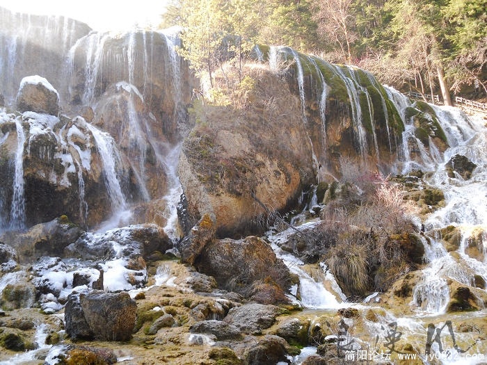 SDC10225.jpg