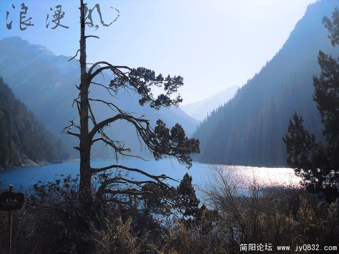 SDC10305.jpg