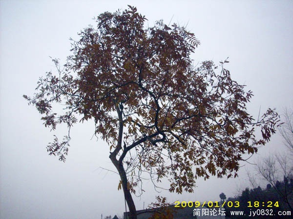 DSCI0105.jpg