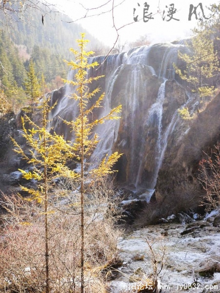 SDC10204.jpg