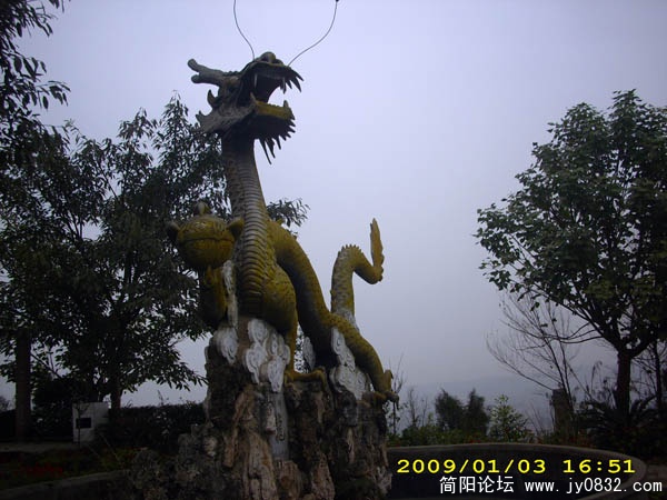 DSCI0101.jpg