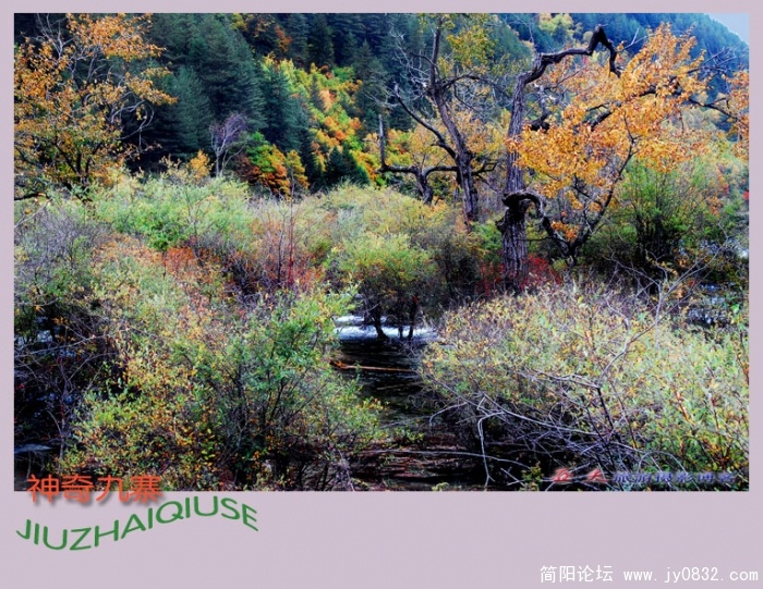 神奇九寨(三)--10副本.jpg