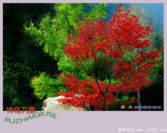 神奇九寨(三)--15副本副本.jpg