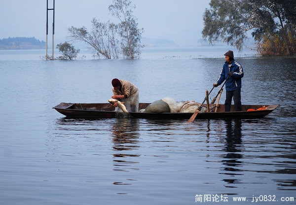 打鱼.jpg