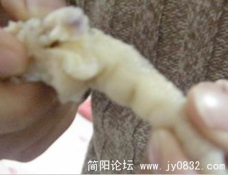 未命名.jpg