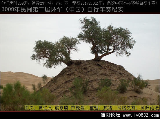 DSCI0439.JPG