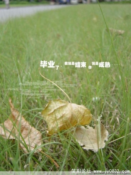 唯美24.jpg