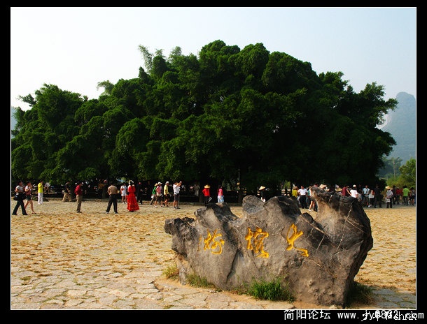 有1400多年树龄的大榕树是《刘三姐》的外景地