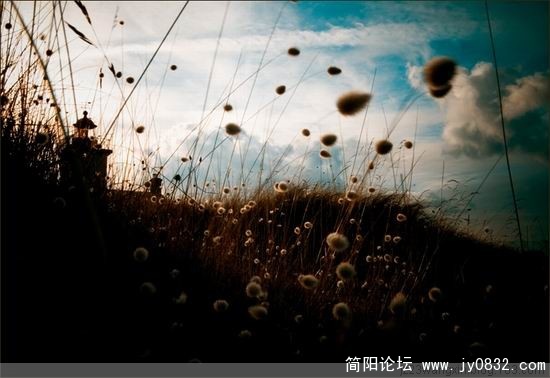 唯美47.jpg
