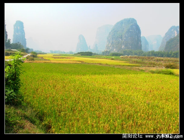 阳朔 金秋十月.jpg