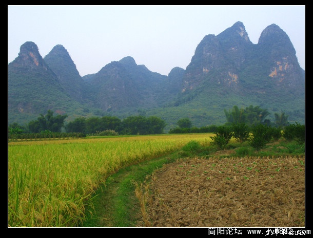 阳朔 遇龙河西岸的骑行小道.jpg