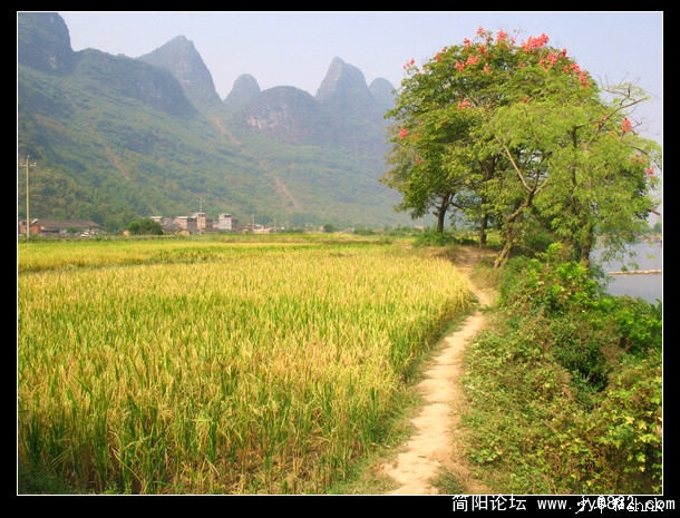阳朔 遇龙河西岸的大石寨.jpg