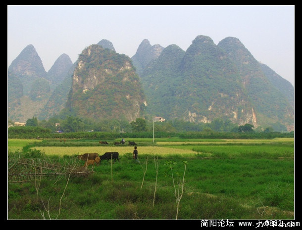 阳朔 遇龙河西岸田园风光.jpg