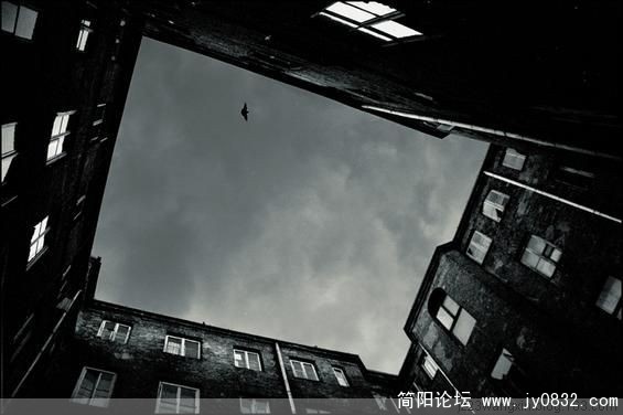 唯美54.jpg