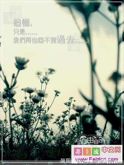 唯美31.jpg