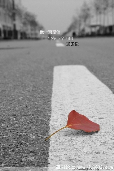 唯美41.jpg