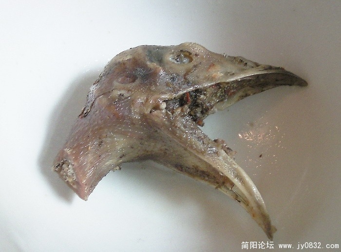 照片983.jpg
